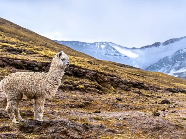 Rainbow Mountain Tour: Full Day Hike