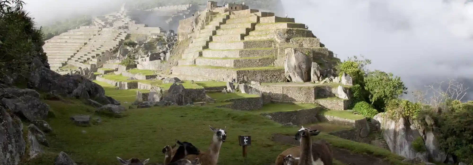 Tour Sacred Valley VIP + Maras Salt Mines and Moray